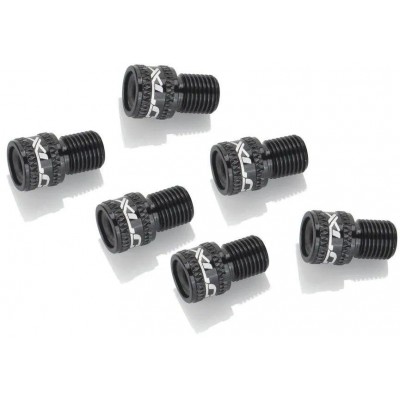 adaptér ventilku XLC AV na DV/SV černá 10 ks